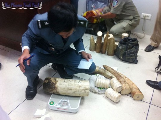 ivory1 084b9 Cảnh sát Campuchia vừa bắt 2 người Việt buôn lậu ngà voi từ châu Phi